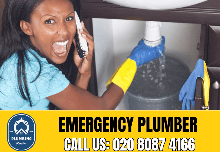 emergency plumber Finchley Central